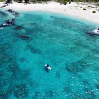 a group of people swimming in a body of water