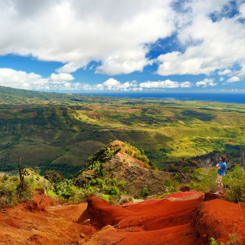 a canyon with Waimea Canyon State Park in the background