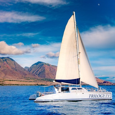 a blue and white boat sitting next to a body of water