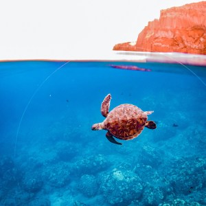 a blue pool of water