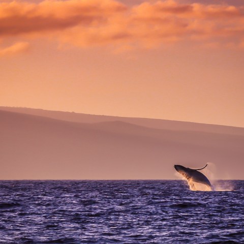 a sunset over a body of water