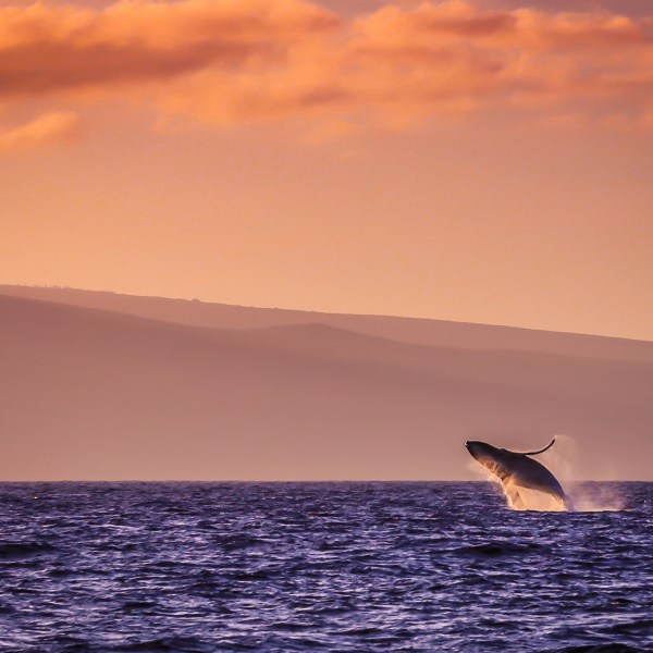 a sunset over a body of water