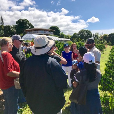 Kapohokine Ultimate Circle Island Explorer - Kona Coffee Farm Tour