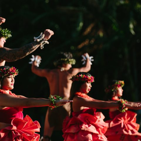 a person holding a flower
