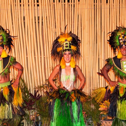 a group of colorful flowers