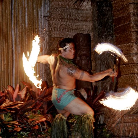 a person standing in front of a fire