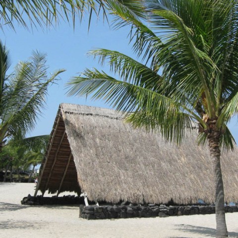 wasabi Historic Kona and Farm Tour 02