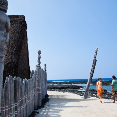 wasabi Historic Kona and Farm Tour 04