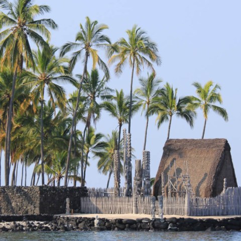 wasabi Historic Kona and Farm Tour 05