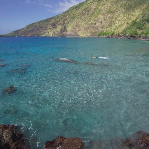 wasabi Historic Kona and Farm Tour 06