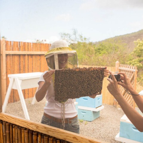 wasabi Historic Kona and Farm Tour 10
