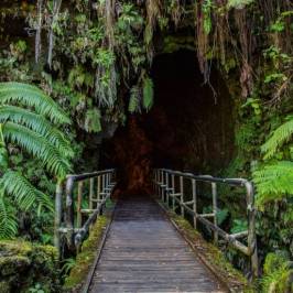 wasabi big island circle island tour 03