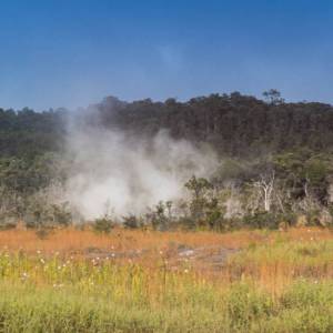 wasabi big island circle island tour 04