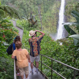 wasabi big island circle island tour 05