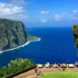 wasabi big island circle island tour 06