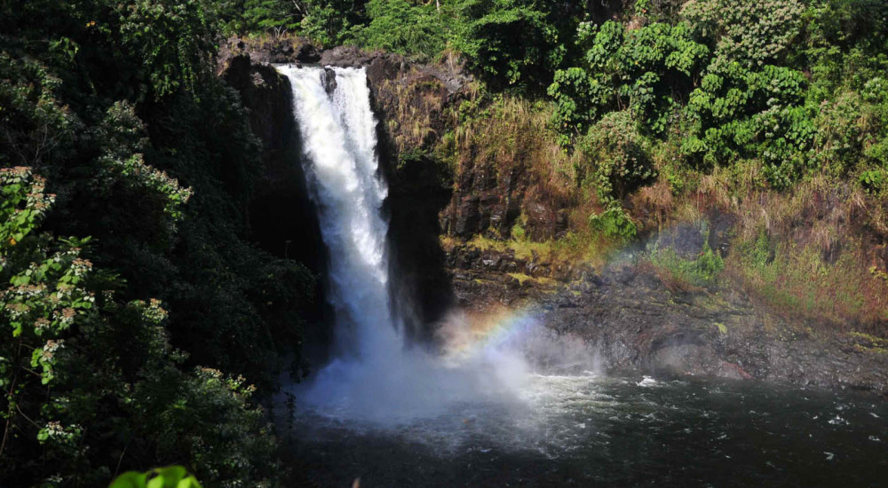 wasabi big island circle island tour 07