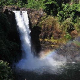 wasabi big island circle island tour 07