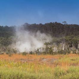 wasabi volcano and stargazing tour 07