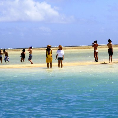 a group of people on a beach