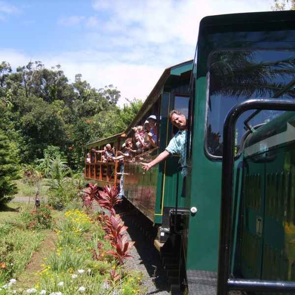a green train parked at a bus stop