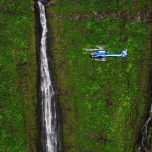 a airplane that is on top of a lush green field