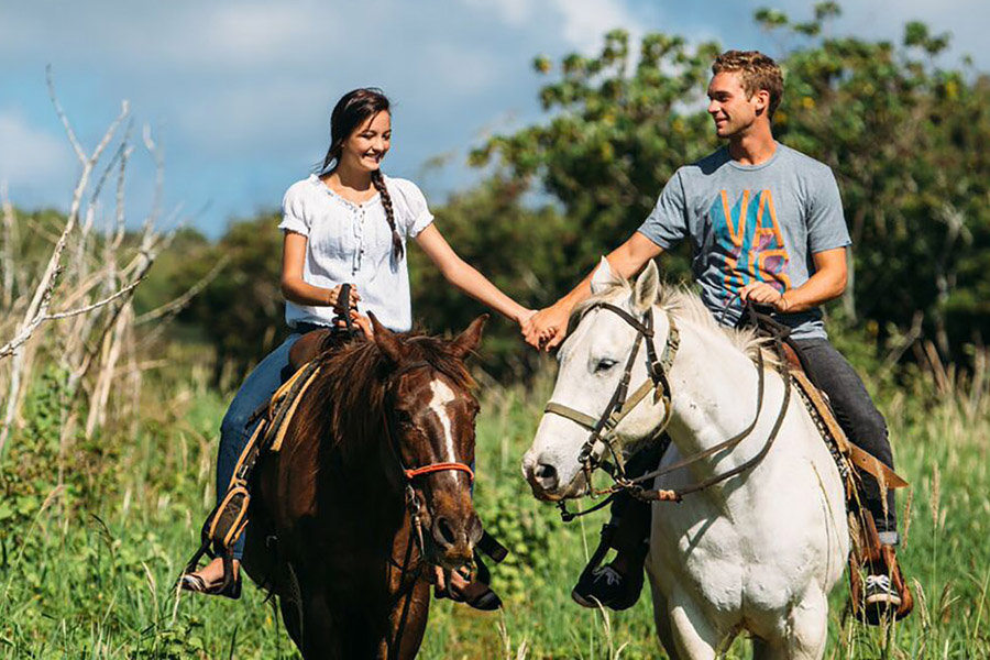 horseback riding activity