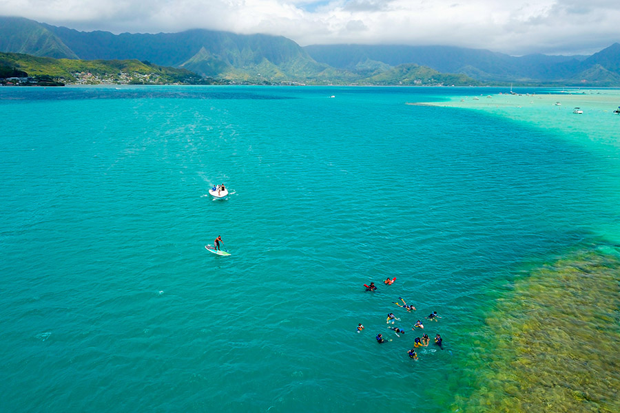 Kaneohe Sand Bar Activities