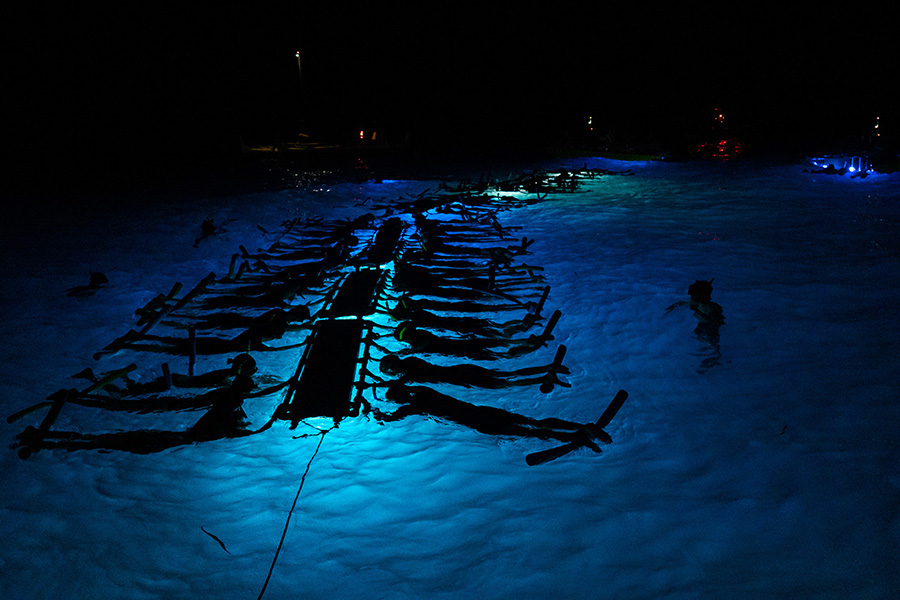 evening manta ray snorkel tour