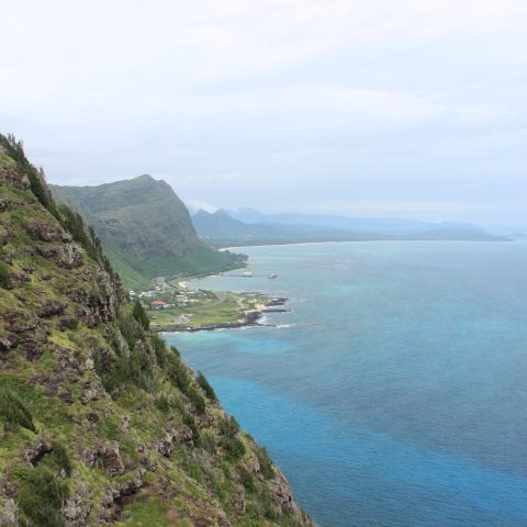 a close up of a hillside next to a body of water