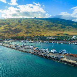 a large body of water