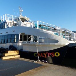 a large ship in the water