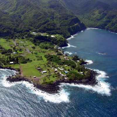 a close up of a hillside next to a body of water