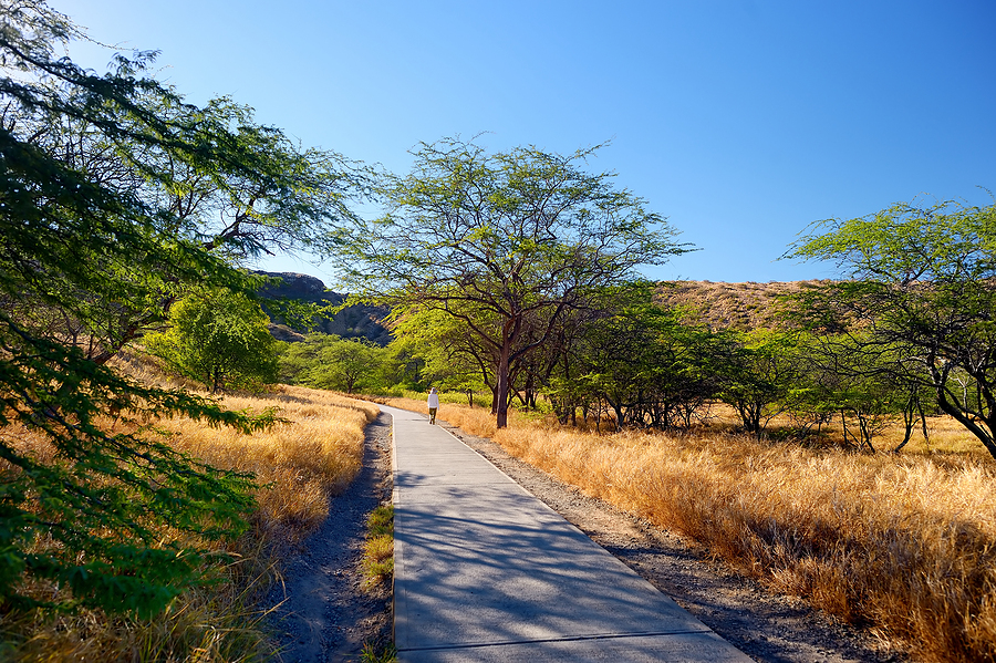 diamond head crater hiking path