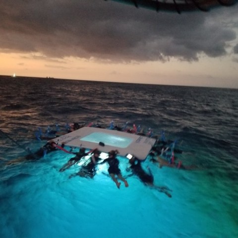 a group of people swimming in a body of water