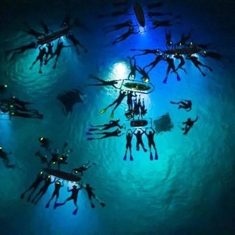 a group of people swimming in a dark room