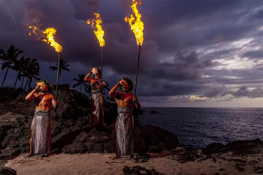 feast and fire conch blowers