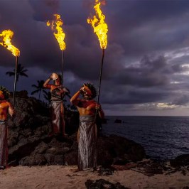 feast and fire conch blowers