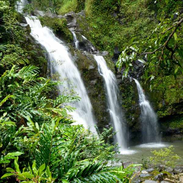 a waterfall surrounded by trees