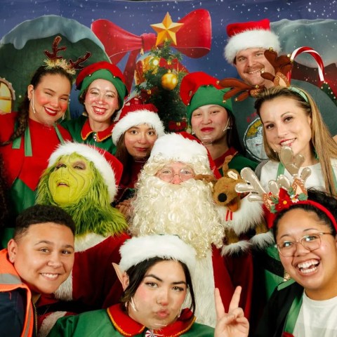 holiday lights elves