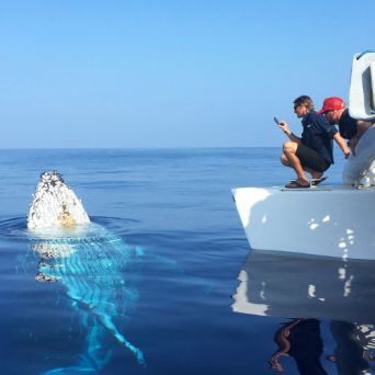 a man riding on the back of a boat in the water