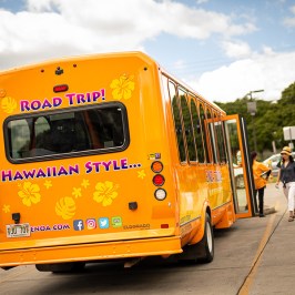 E Noa Tours and Passengers