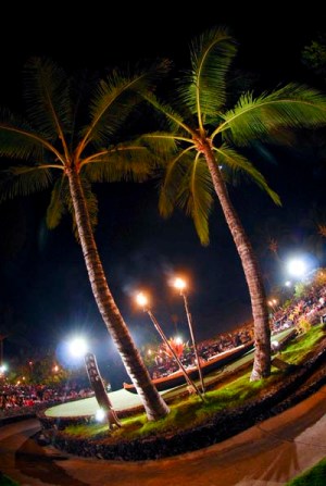 a palm tree lit up at night