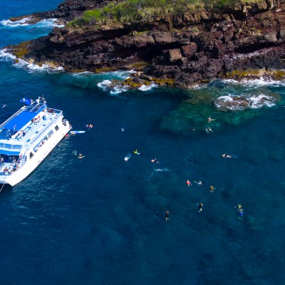 Snorkel Dolphin Adventure