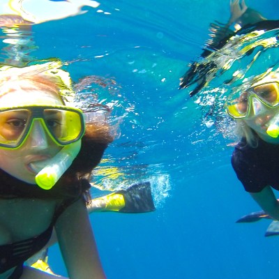 snorkelers in the water