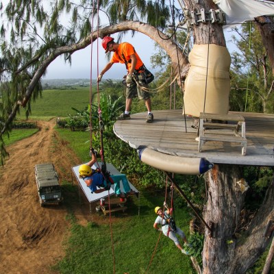a group of people standing next to a tree