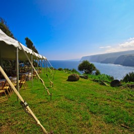 a close up of a green tent on a grassy hill