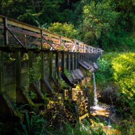 a train on a bridge