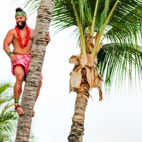 ka moana luau - coconut tree climber smiling