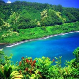 a body of water surrounded by trees
