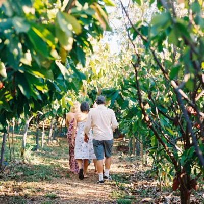 a person standing in front of a tree